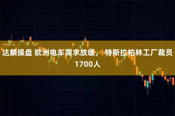 达麟操盘 欧洲电车需求放缓， 特斯拉柏林工厂裁员1700人