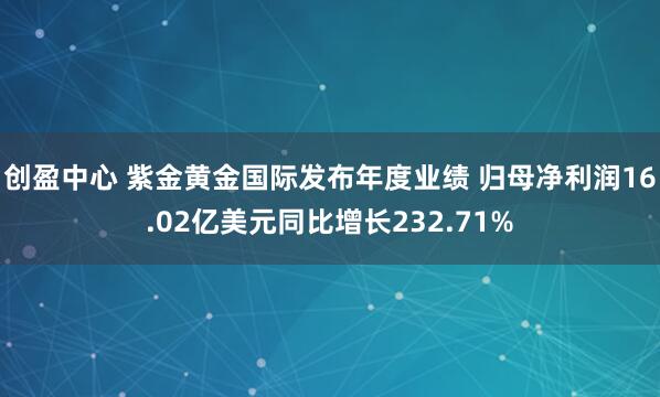 创盈中心 紫金黄金国际发布年度业绩 归母净利润16.02亿美元同比增长232.71%